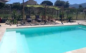 Studio 37 M2